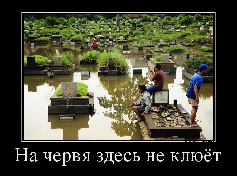 На червя здесь не клюёт