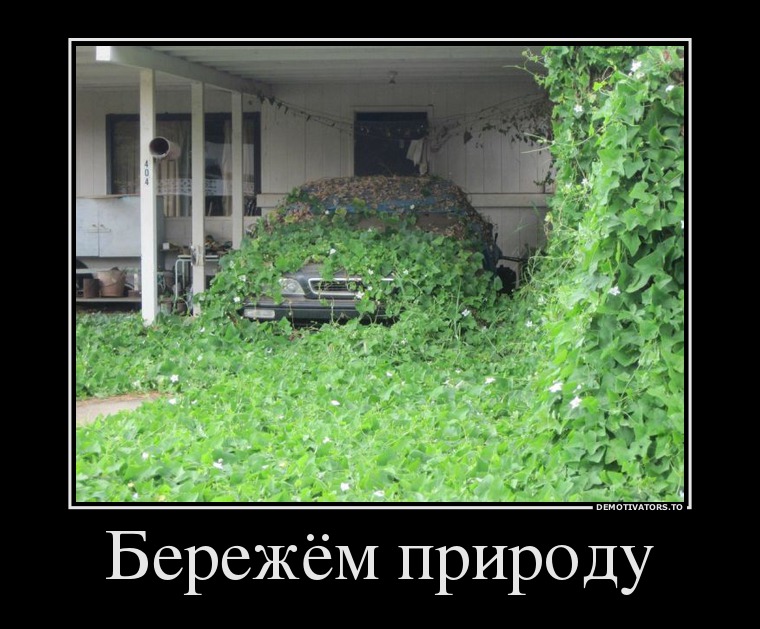 Бережём природу