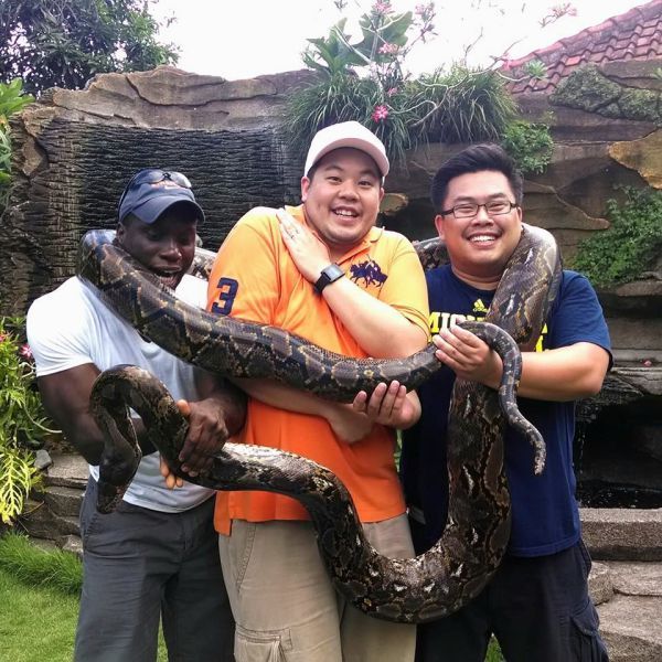 �������� ������������