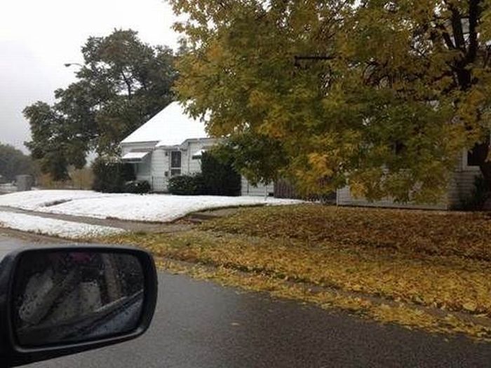 �������� ������������