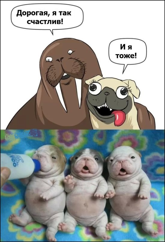 Забавные комиксы