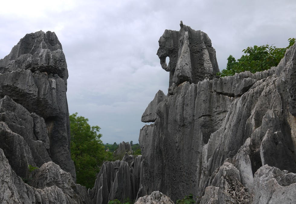 Каменный лес Каменный лес