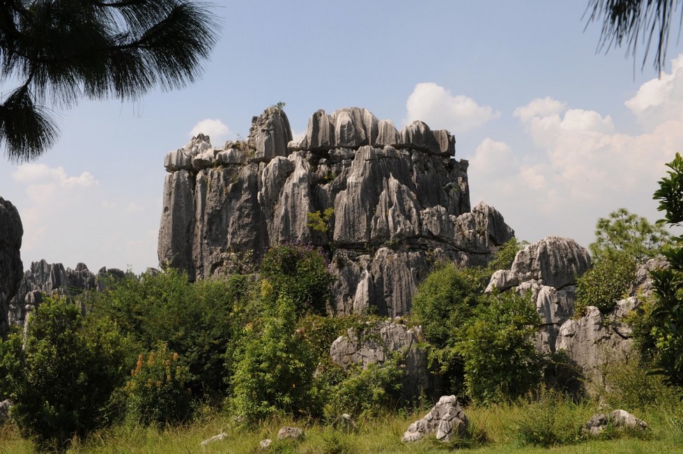 Каменный лес Каменный лес