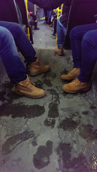  �������� ������������ � 14 