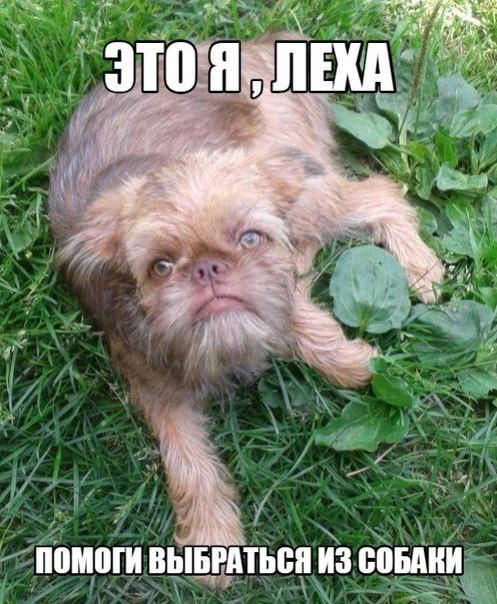  �������� ������������ � 14 