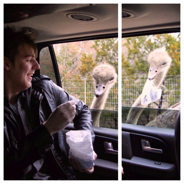  �������� ������������ � 14 