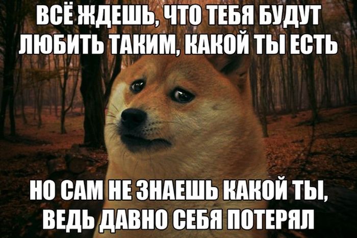  �������� ������������ � 14 