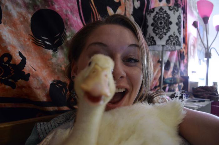  �������� ������������ � 14 