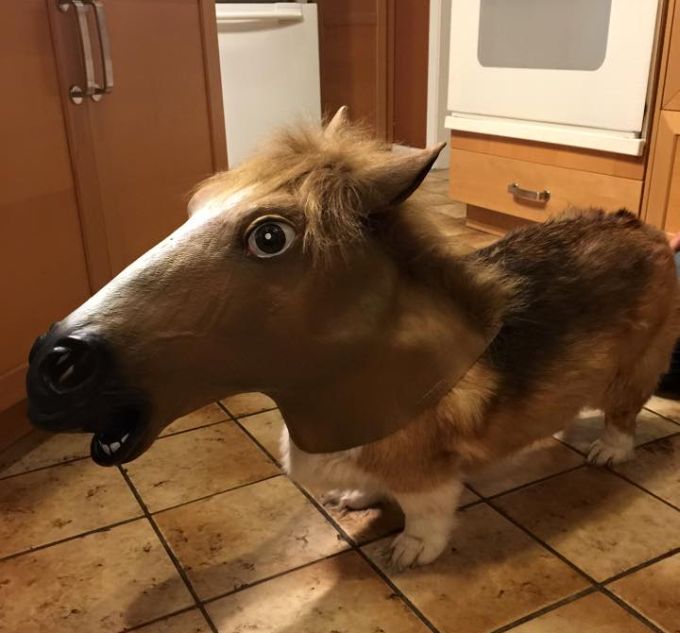  �������� ������������ � 14 