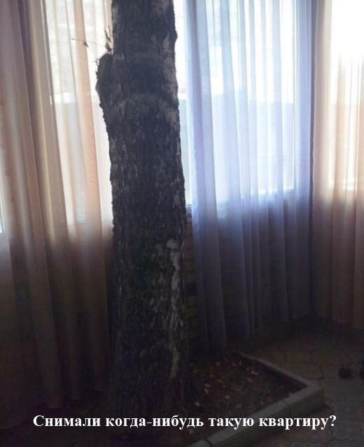  �������� ������������ � 14 