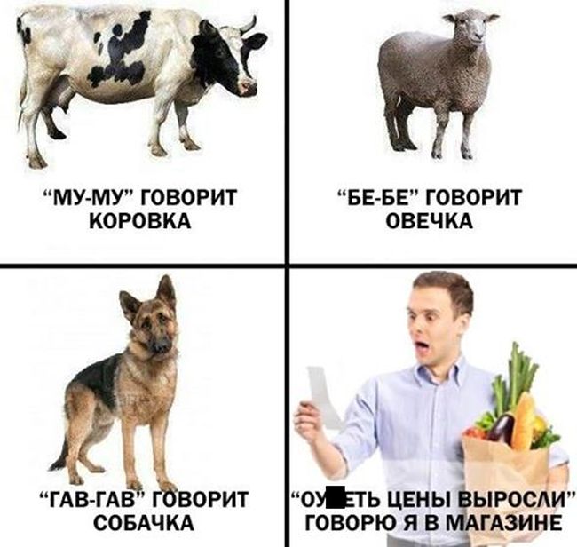  �������� ������������ � 14 