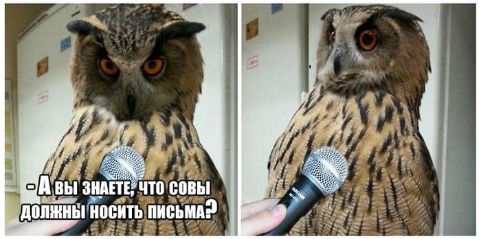  �������� ������������ � 14 