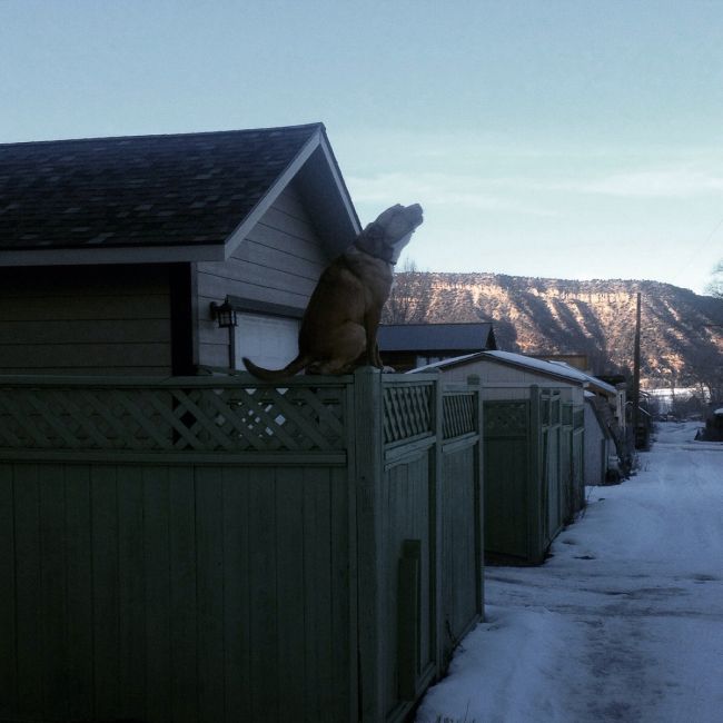  �������� ������������ � 14 