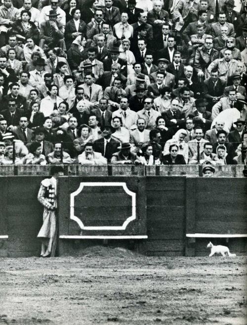  �������� ������������ � 14 