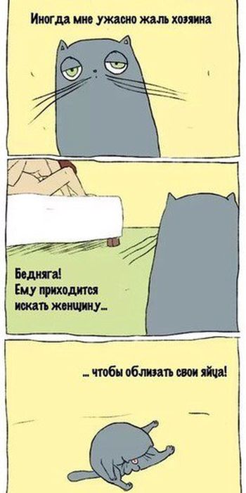 �������� �������