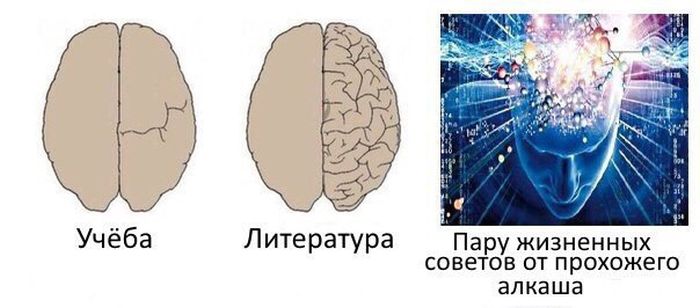 �������� �������