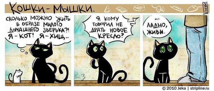 �������� �������