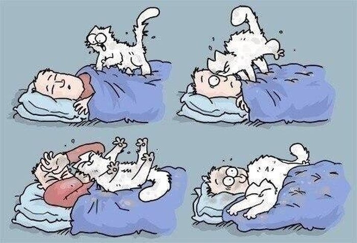 �������� �������