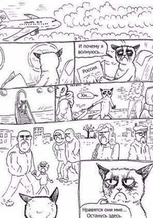 �������� �������