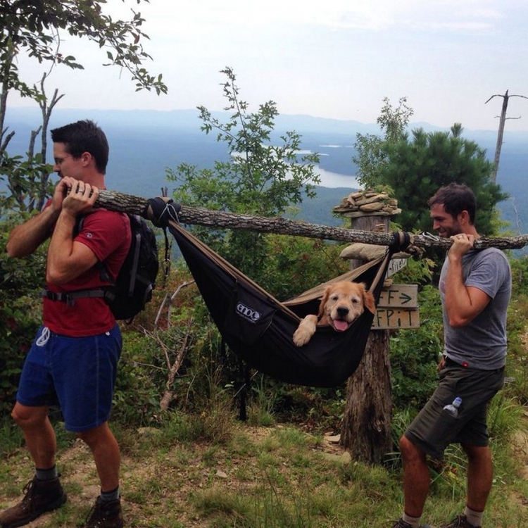 �������� ���������� � ������� ��������