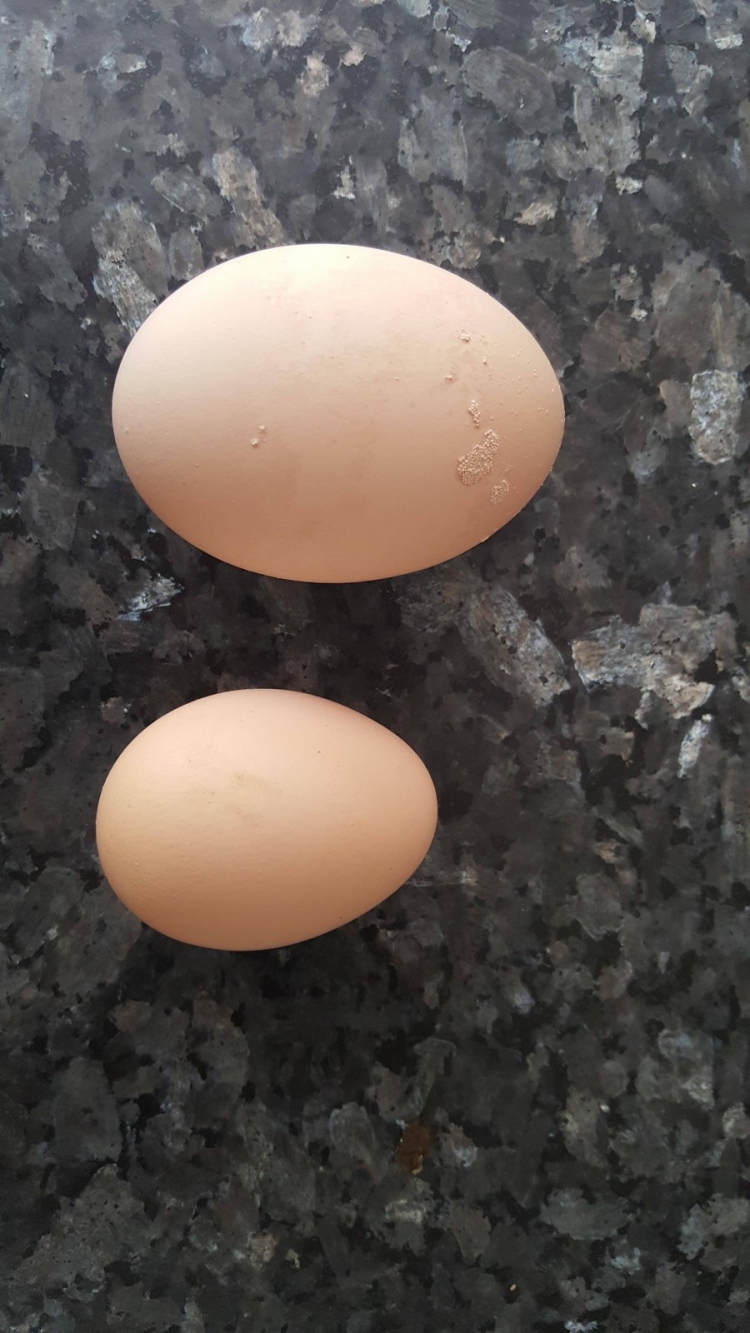 �������� ���������� � ������� ��������