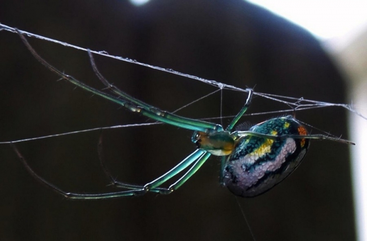 �������� ���������� � ������� ��������