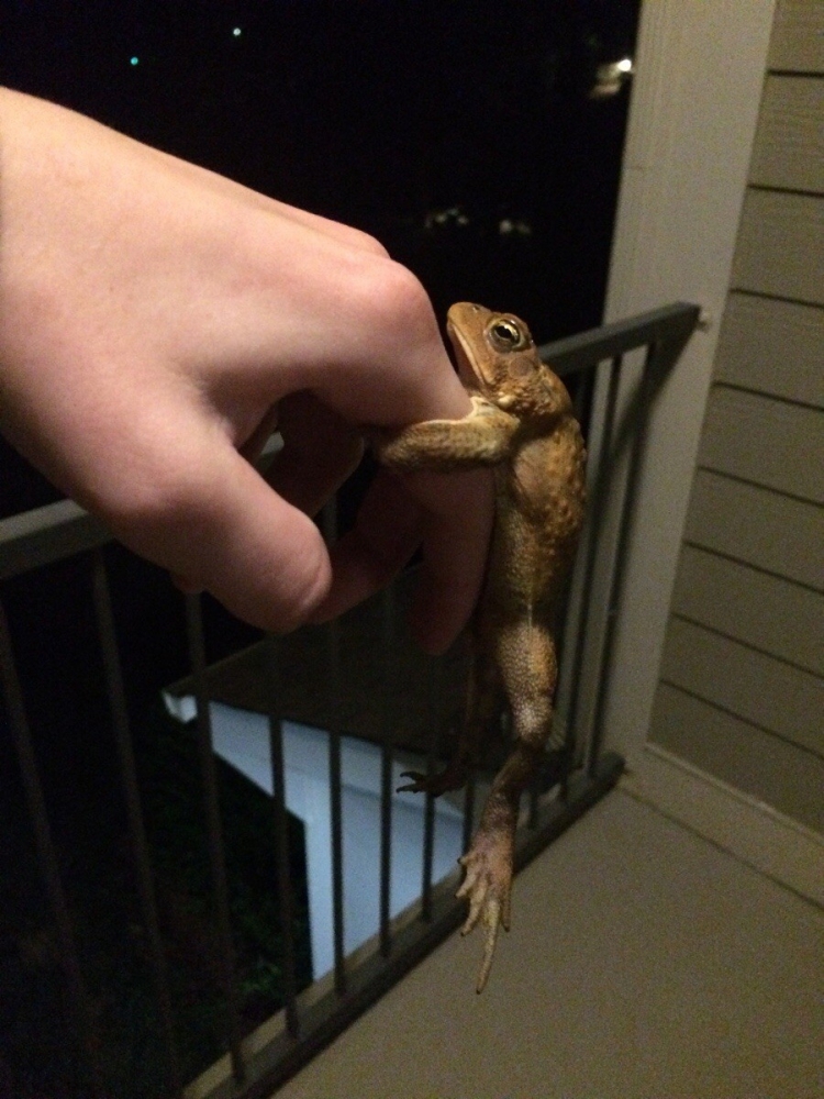 �������� ���������� � ������� ��������