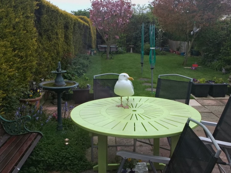 �������� ���������� � ������� ��������