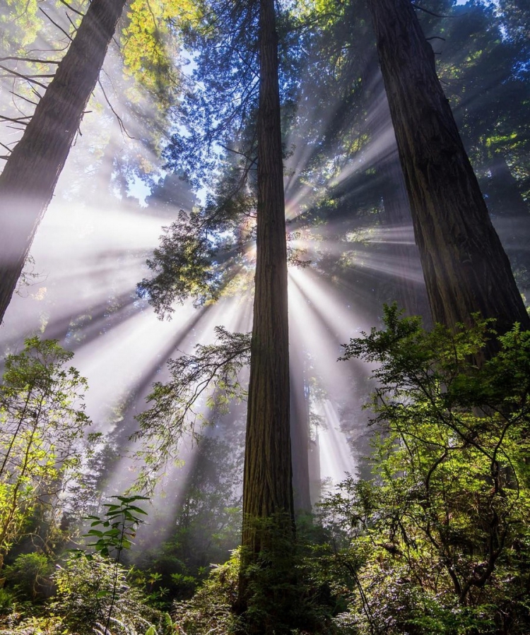 �������� ���������� � ������� ��������