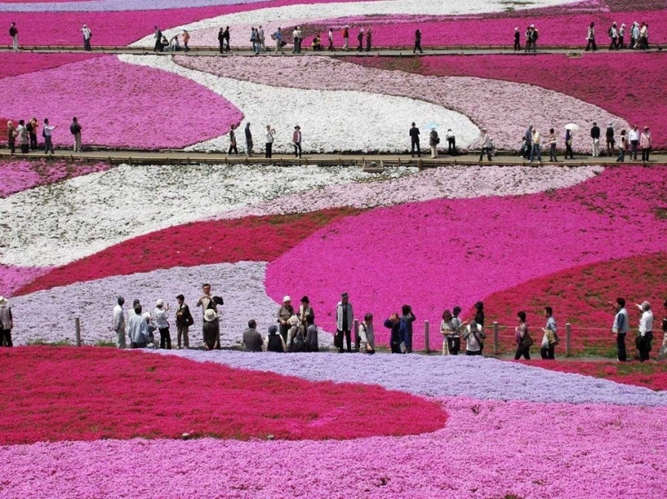 �������� ���������� � ������� ��������