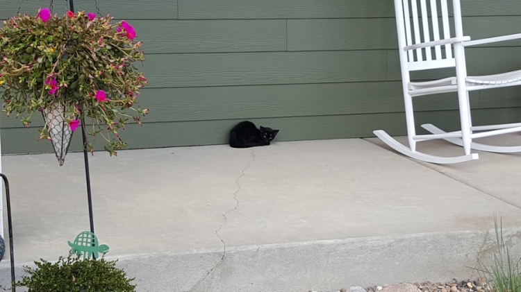 �������� ���������� � ������� ��������