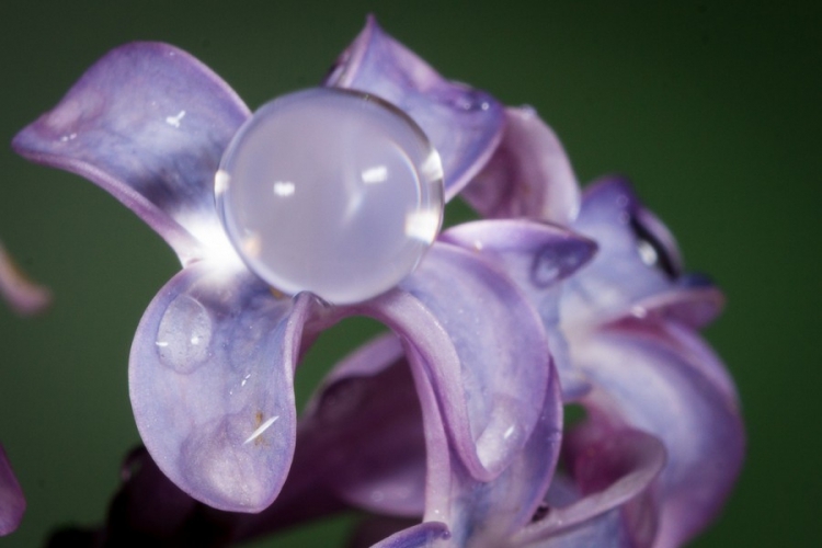 �������� ���������� � ������� ��������