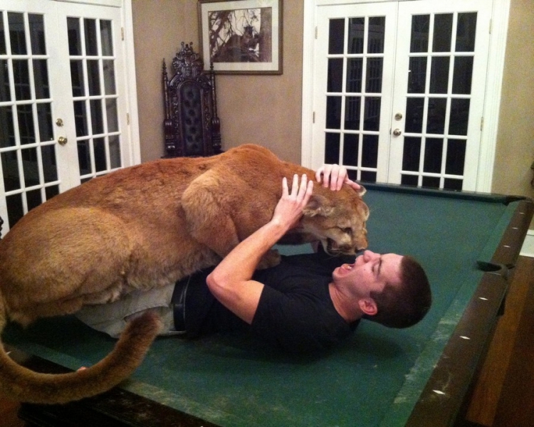 �������� ���������� � ������� ��������