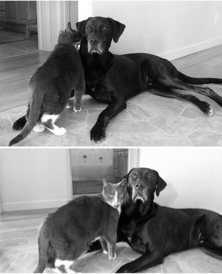 �������� ���������� � ������� ��������