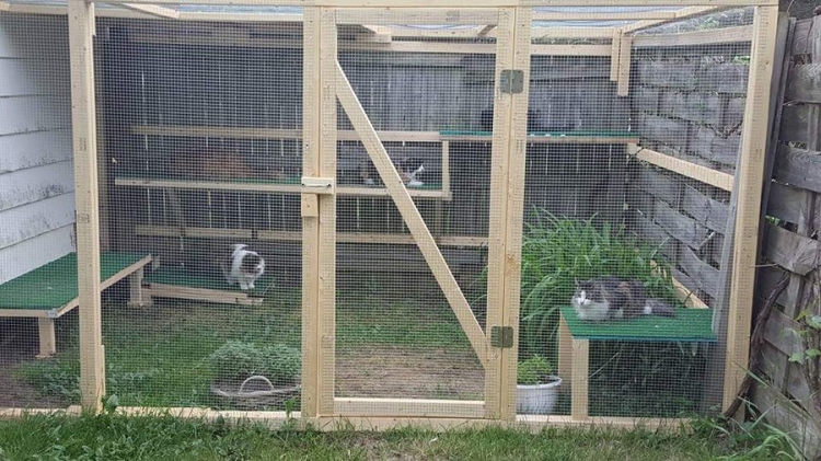 �������� ���������� � ������� ��������