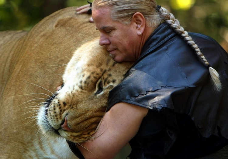 �������� ���������� � ������� ��������