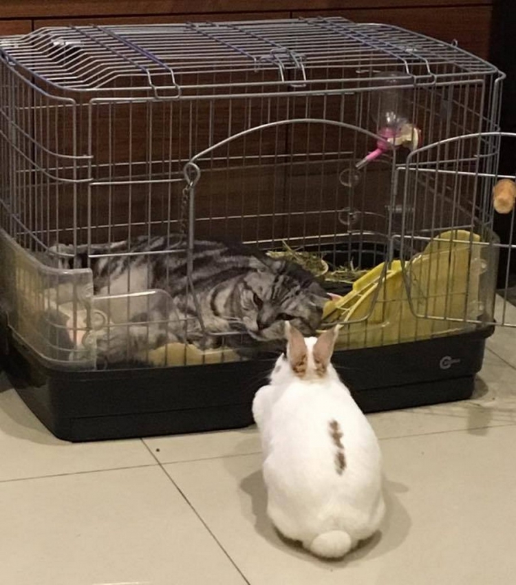 �������� ���������� � ������� ��������