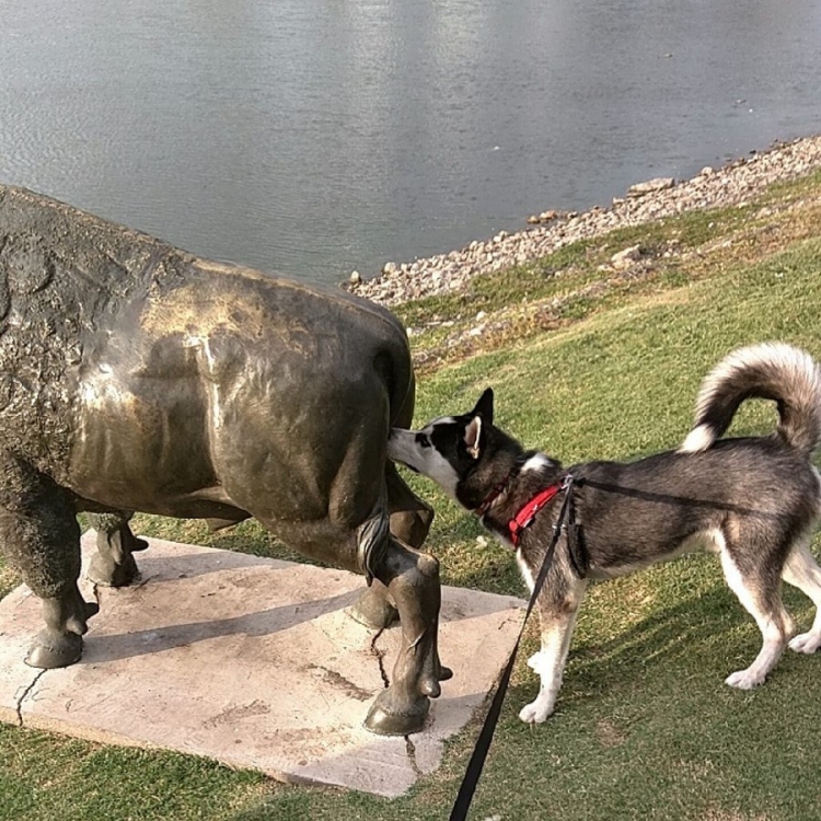 �������� ���������� � ������� ��������