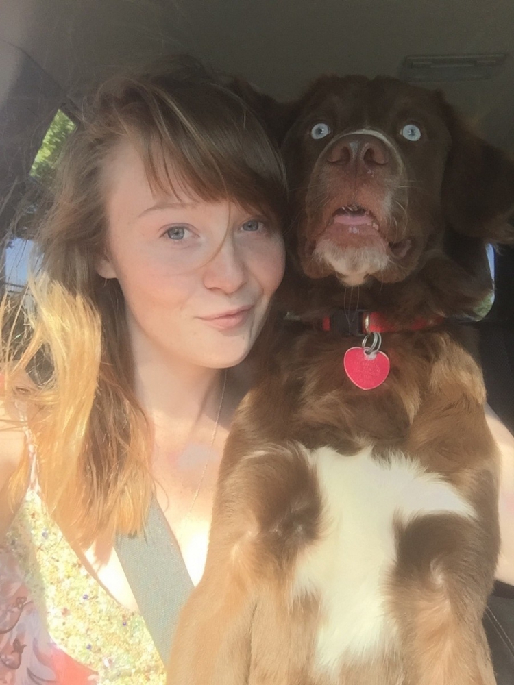 �������� ���������� � ������� ��������