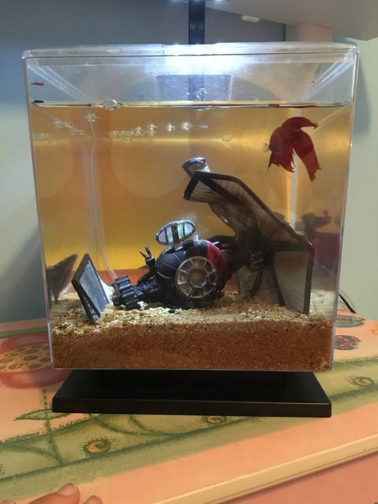 �������� ���������� � ������� ��������