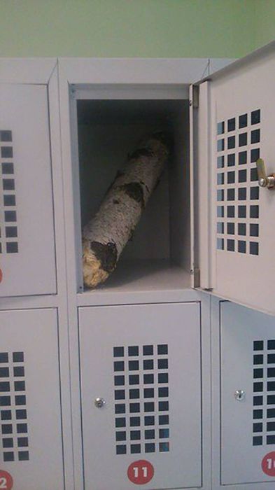 ����, ������� �������� ���� ������� ������ � ������ (38 ����)