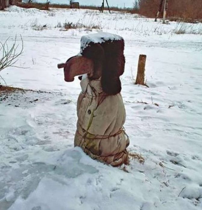 ����, ������� �������� ���� ������� ������ � ������ (38 ����)