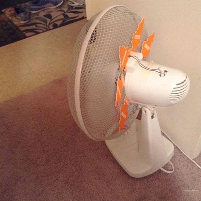 ����, ������� �������� ���� ������� ������ � ������ (38 ����)