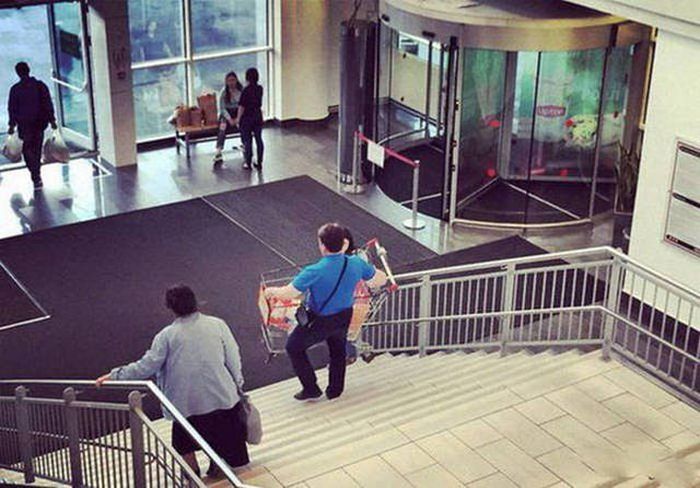 ����, ������� �������� ���� ������� ������ � ������ (38 ����)