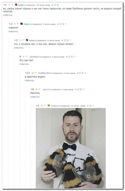 ������� ����������� �� ���������� ����� (33 ����)