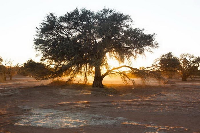 ��������� �����������