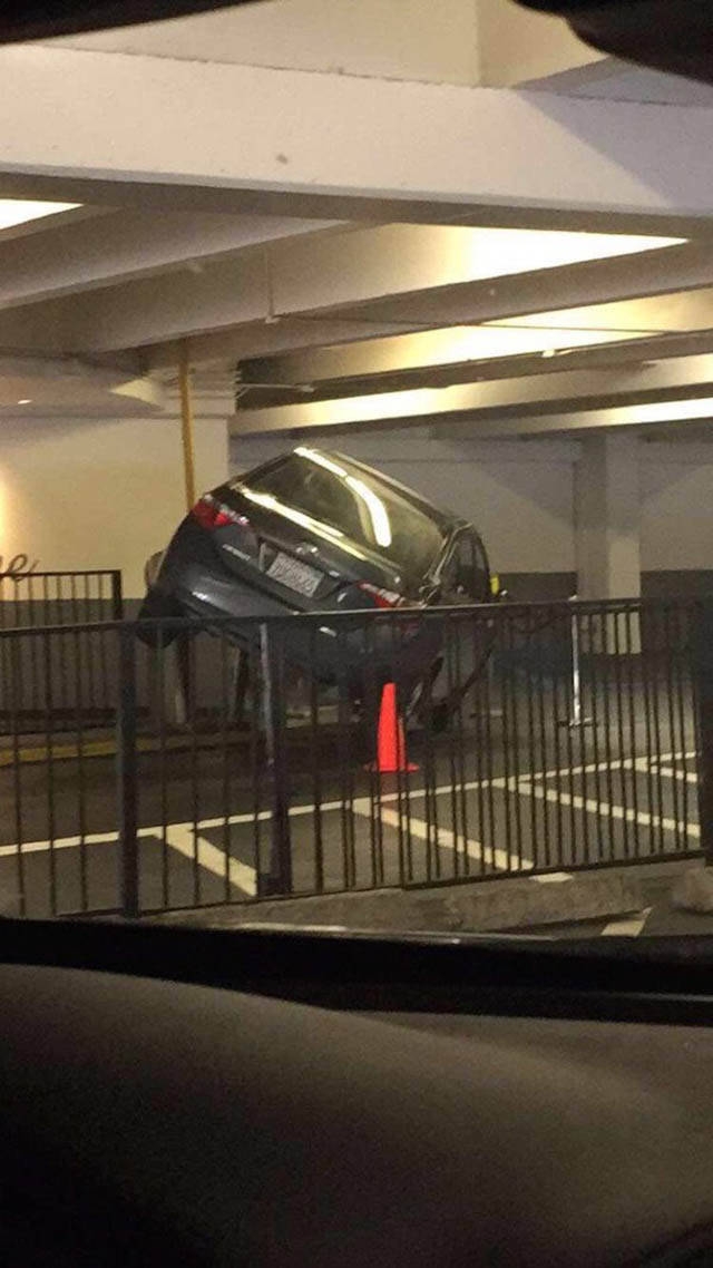 ������������ ���������