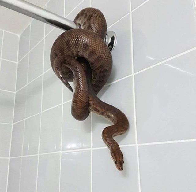 ������������ ���������