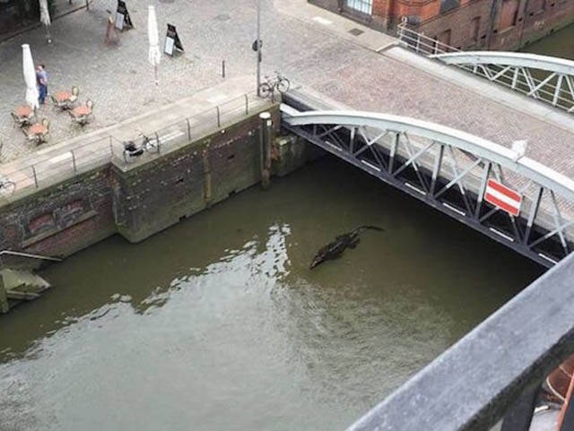 ������������ ���������