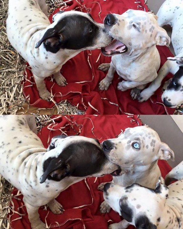 ������������ ���������